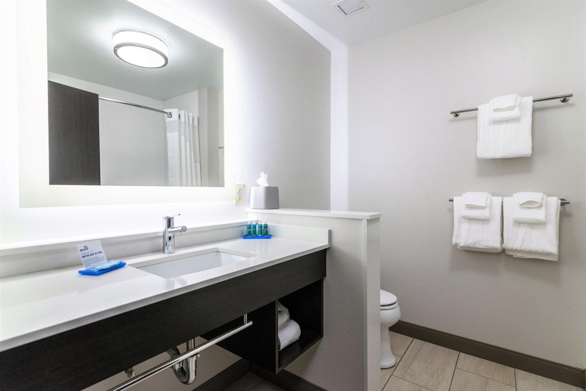 Holiday Inn Express & Suites Allen Park By Ihg Luaran gambar